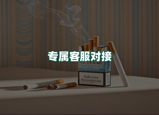 核心优势